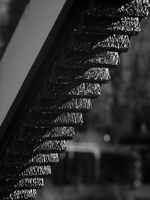210109-Vecht-117