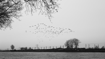 210116-Vecht-105