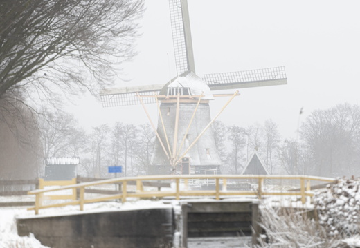 20210207-Loenen-Sneeuw-111