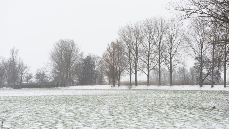 20210207-Loenen-Sneeuw-113.jpg