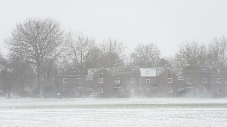 20210207-Loenen-Sneeuw-116.jpg