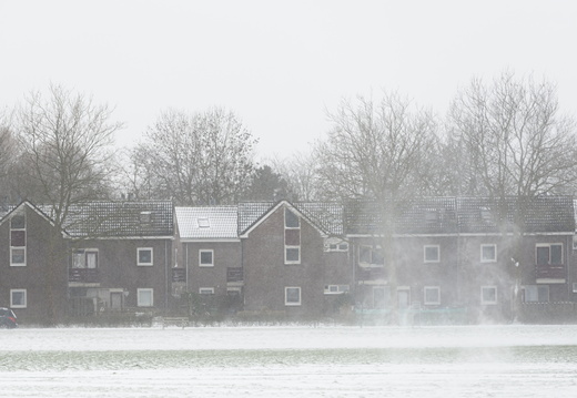 20210207-Loenen-Sneeuw-117