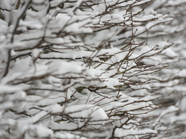 20210207-Loenen-Sneeuw-135