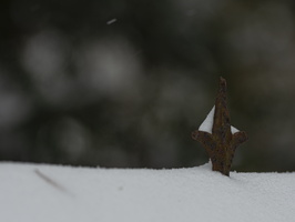 20210207-Loenen-Sneeuw-140