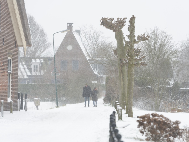 20210207-Loenen-Sneeuw-143.jpg