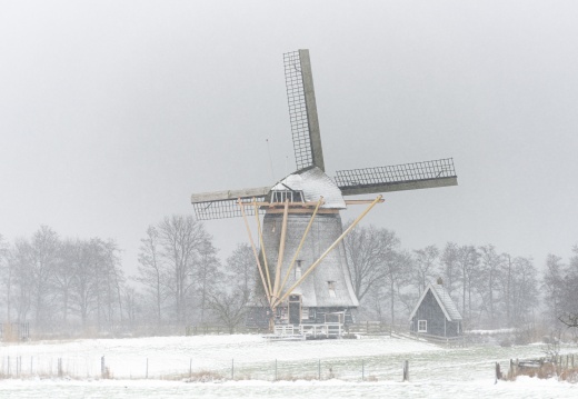 20210207-Loenen-Sneeuw
