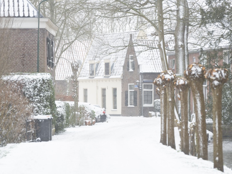 20210207-Loenen-Sneeuw-149.jpg