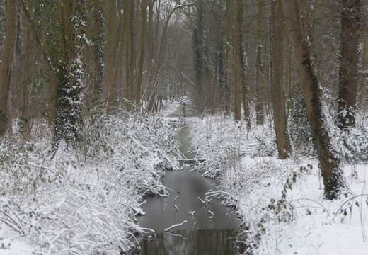 20210207-Loenen-Sneeuw-151