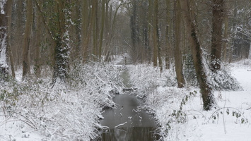 20210207-Loenen-Sneeuw-151