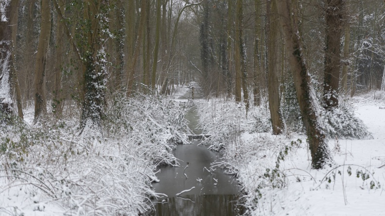 20210207-Loenen-Sneeuw-151.jpg