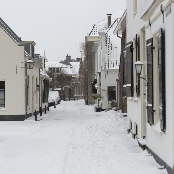 20210207-Loenen-Sneeuw-158.jpg