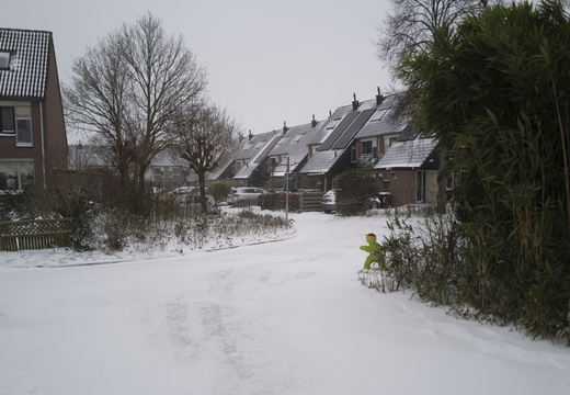 20210207-Loenen-Sneeuw-177