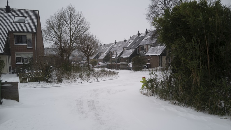 20210207-Loenen-Sneeuw-177.jpg