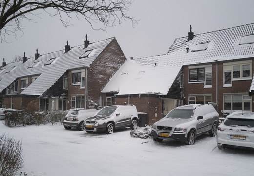 20210207-Loenen-Sneeuw-179