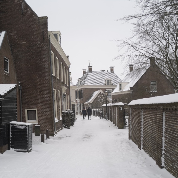 20210207-Loenen-Sneeuw-182.jpg