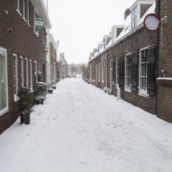 20210207-Loenen-Sneeuw-191.jpg