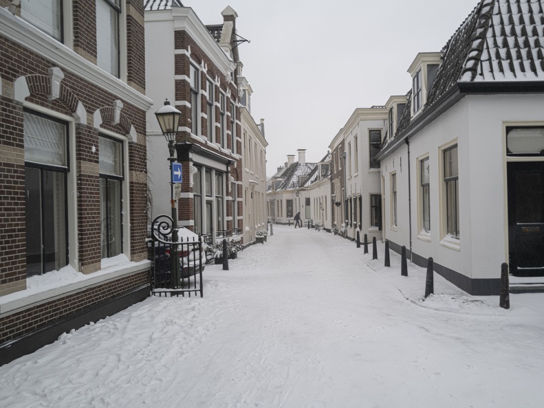 20210207-Loenen-Sneeuw-192.jpg