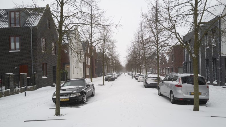 20210207-Loenen-Sneeuw-199.jpg