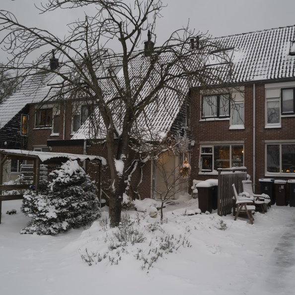 20210207-Loenen-Sneeuw-203.jpg
