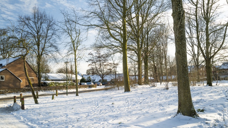 20210209-Loenen-Sneeuw-103.jpg