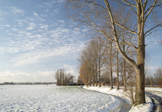 20210209-Loenen-Sneeuw-106