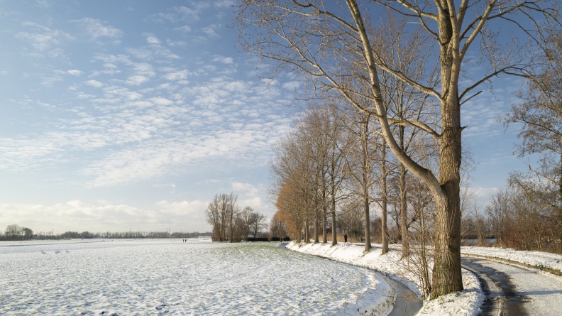 20210209-Loenen-Sneeuw-106.jpg