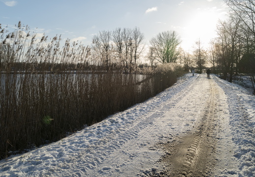 20210209-Loenen-Sneeuw-108