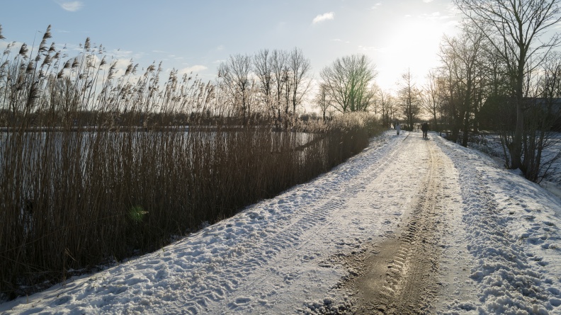 20210209-Loenen-Sneeuw-108.jpg