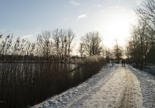 20210209-Loenen-Sneeuw-109