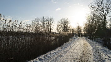 20210209-Loenen-Sneeuw-109