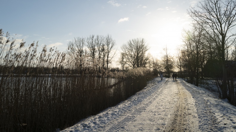 20210209-Loenen-Sneeuw-109.jpg