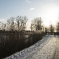 20210209-Loenen-Sneeuw-109.jpg
