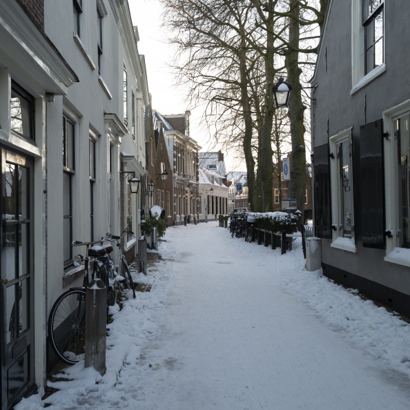 20210209-Loenen-Sneeuw-115.jpg