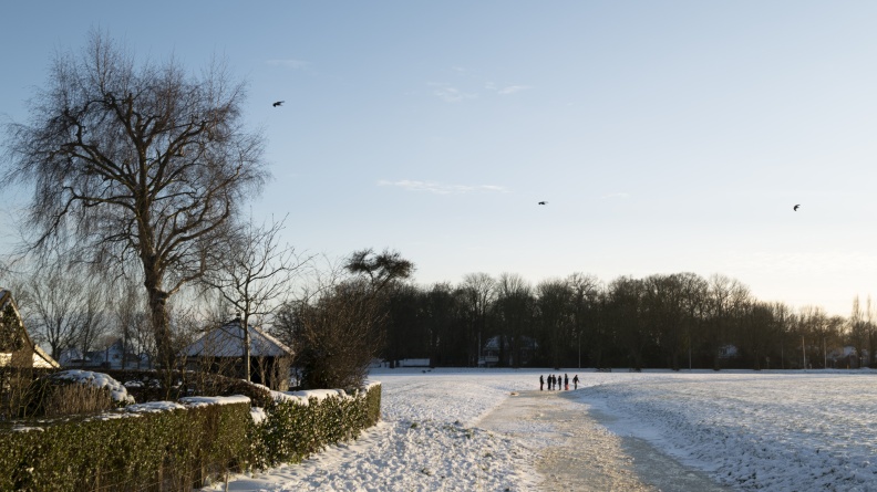 20210209-Loenen-Sneeuw-118.jpg