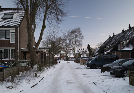 20210209-Loenen-Sneeuw-137