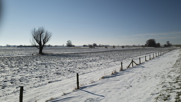 20210213-Winter-102