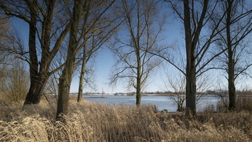 20210213-Winter-122