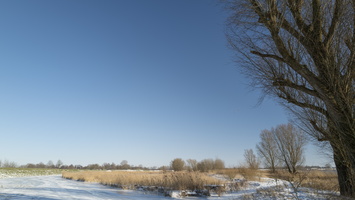 20210213-Winter-124