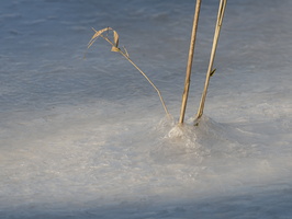 20210213-Winter-127