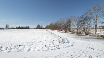 20210213-Winter-139