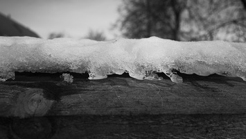 20210214-Loenen-103