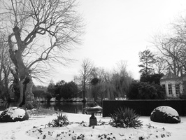 20210214-Loenen-108