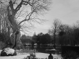 20210214-Loenen-109