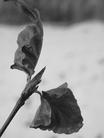 20210214-Loenen-119