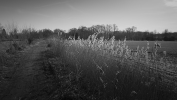 20210221-Loenen-108