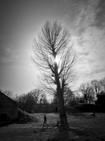 20210221-Loenen-116
