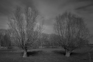 20210225-Fietsen-106