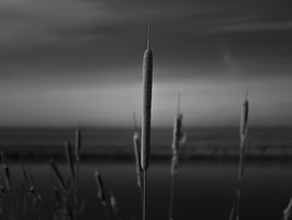 20210225-Fietsen-112