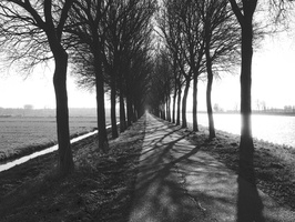 20210301-M4-35mm-Delta100-Loenen-121