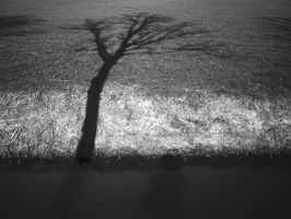 20210301-M4-35mm-Delta100-Loenen-124
